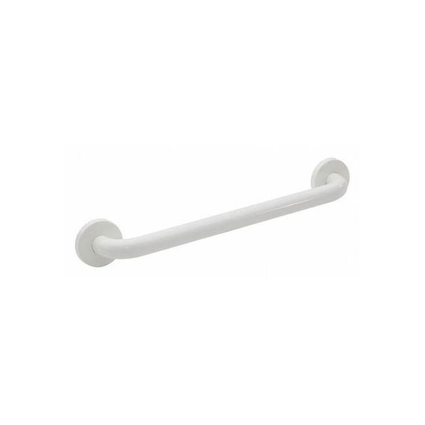 Polyester Painted Premium Grab Bar, 12" L, Stainless Steel, Polyester Painted