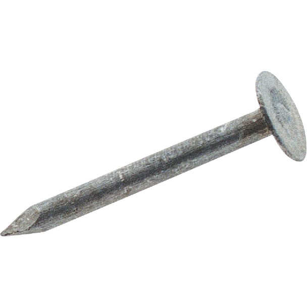 Do it Best 1-1/4 In. 11 ga Electrogalvanized Roofing Nails (10900-Count, 50 Lb.)
