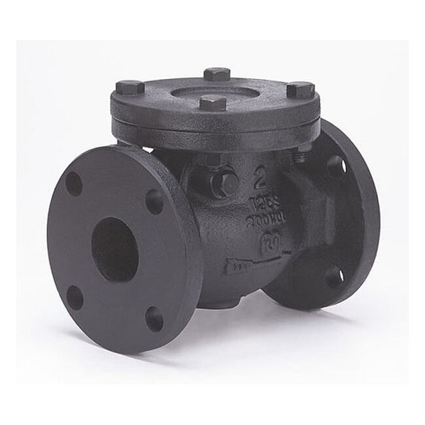 Milwaukee Valve 2-1/2" Flanged Cast Iron Swing Check Valve 2974-M 2 1/2