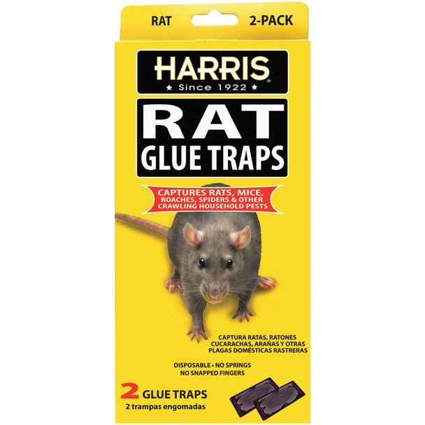 Harris Glue Rat & Mouse Glue Trap (2-Pack) HRG-2