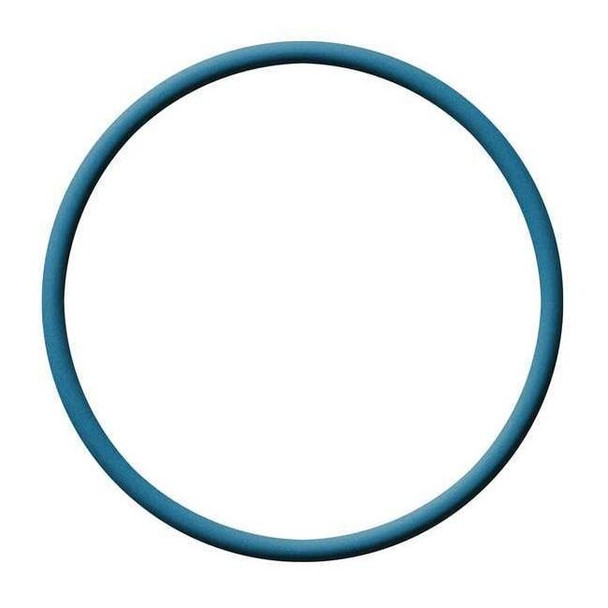 Metal Detectable FDA Viton O-Ring, Dash 206, PK5