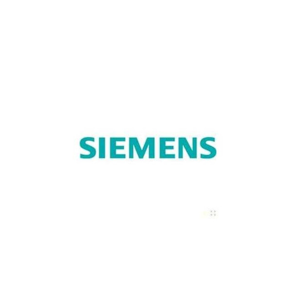 Siemens Imm Well Repair Kit, PT 1K Ohm 544-577-RK