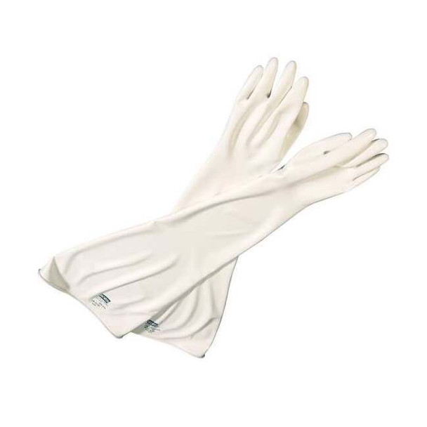 North Glove Box Gloves, 1 PR, White 8Y3032A/9Q