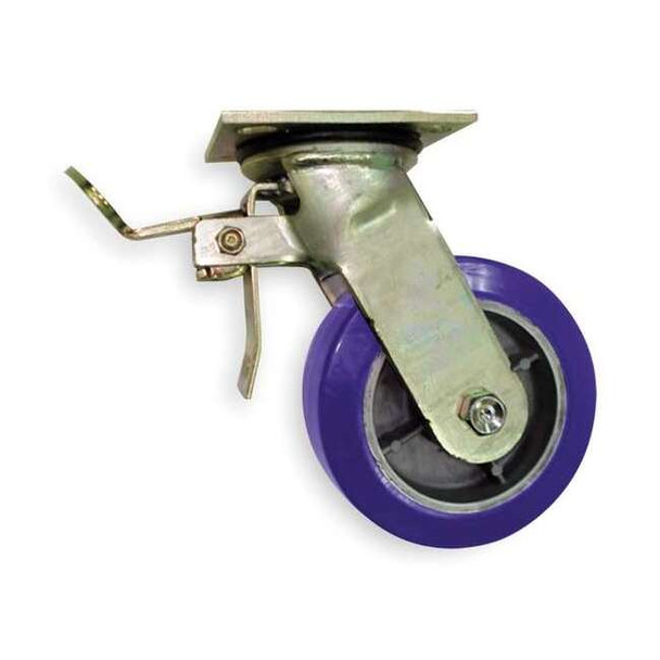 NSF-Listed Plate Caster,1250 lb. Ld Rating,Roller