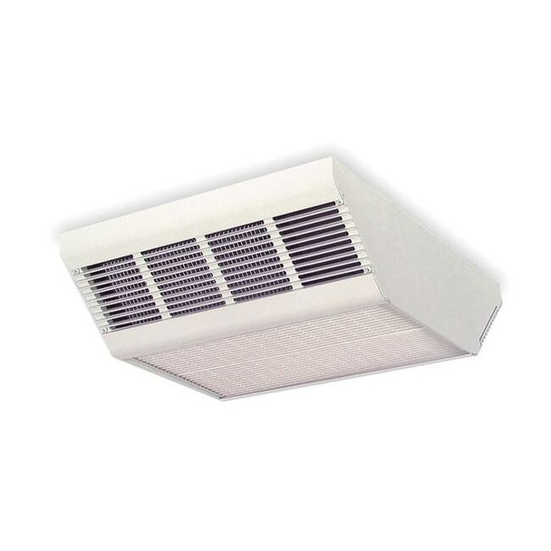 Dayton Downflow Ceiling Mounted Heater,17100BTU 2YU35