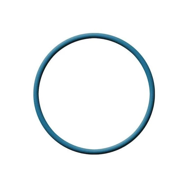 Metal Detectable FDA Viton O-Ring, Dash 112, PK5