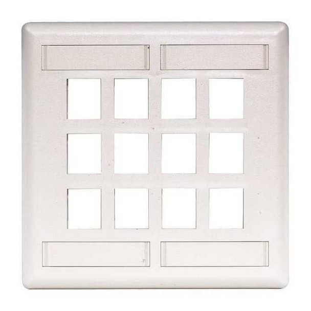 Hubbell Premise Wiring Plate,12 Ports,White,Flush IFP212W