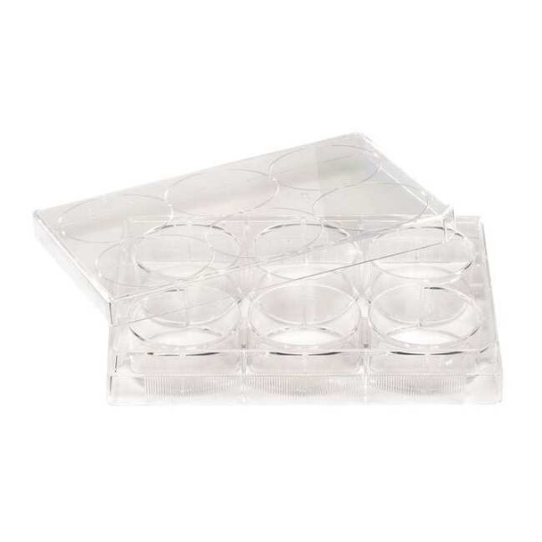 Celltreat Non-Treated Plate,6 Well,PK100 229506