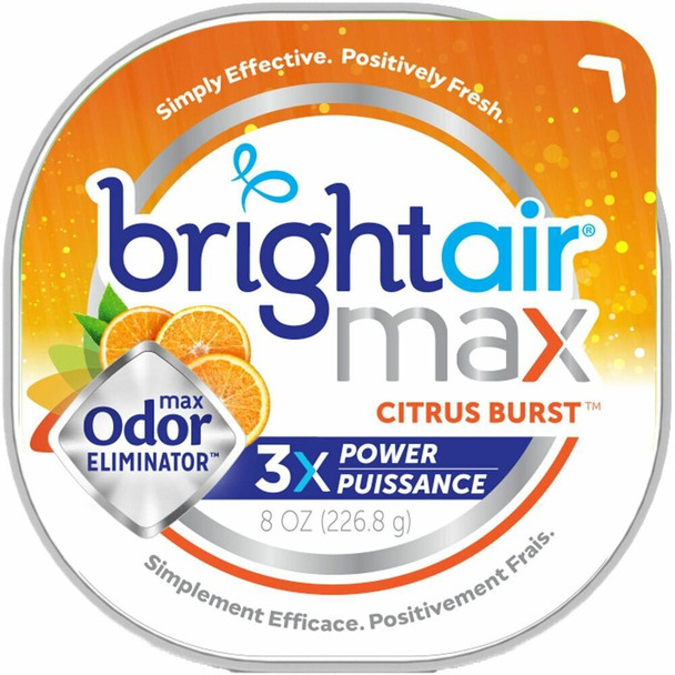 Bright Air  Air Freshener 900436