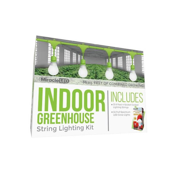 Miracle Led Absolute Daylight 4-Socket Corded LED Gr 601172