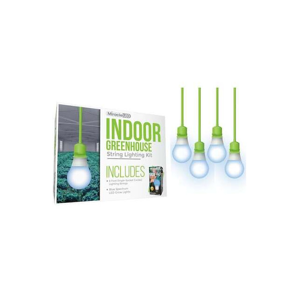 Miracle Led Absolute Daylight Single-Socket Cor,PK4 601267