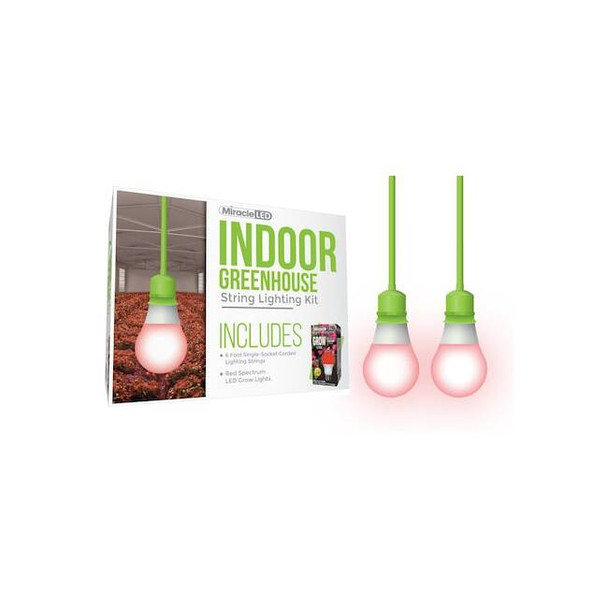 Miracle Led Absolute Daylight Single-Socket Cor,PK2 601262