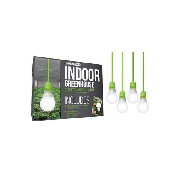 Miracle Led Wide Angle Single-Socket Corded LED,PK4 601211