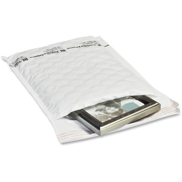 Sealed Air TuffGard Extreme Mailer 10122