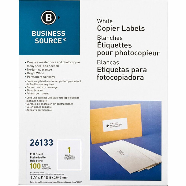 Business Source  Shipping Label 26133