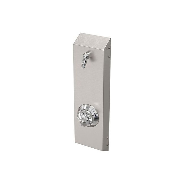 Acorn Controls ShowerFaucetPanel,28.625inH,7.5inW,Brass 458B-W