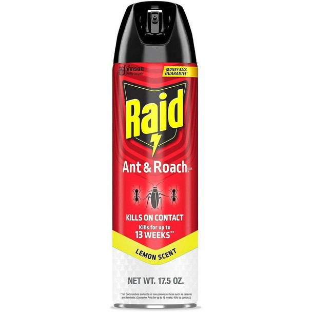 Raid  Insecticide 386214