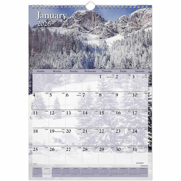 At-A-Glance  Calendar DMW20028