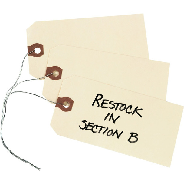Avery&reg;  Shipping Tag 12605