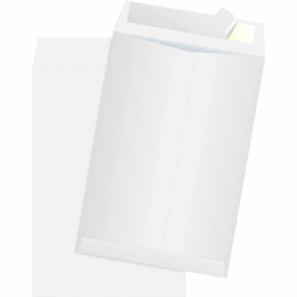 Quality Park  Mailer R7501