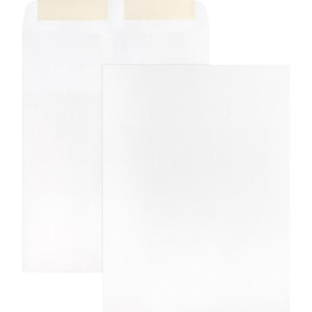 Business Source  Envelope 42102