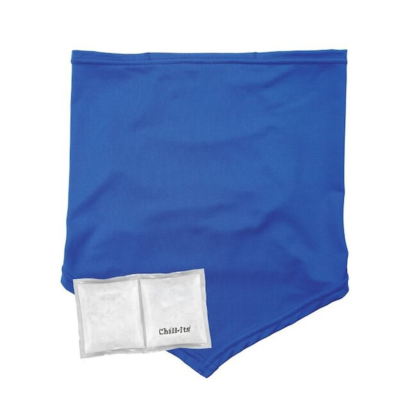 Ergodyne Blue Cooling Neck Gaiter Bandana Pocket Kit - S/M 6482