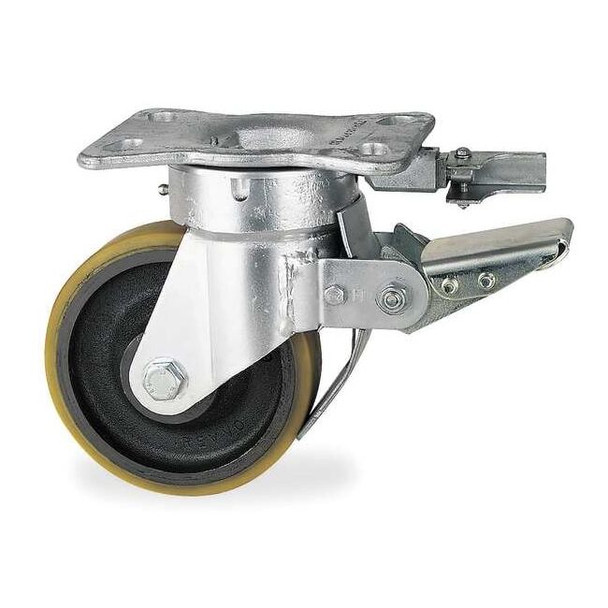 Kingpinless Plate Caster,Swivel,Poly,6 in,1600 lb,A