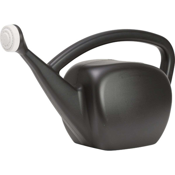 Novelty Root & Vessel 2 Gal. Lime Black Mid-Mod Watering Can 31006