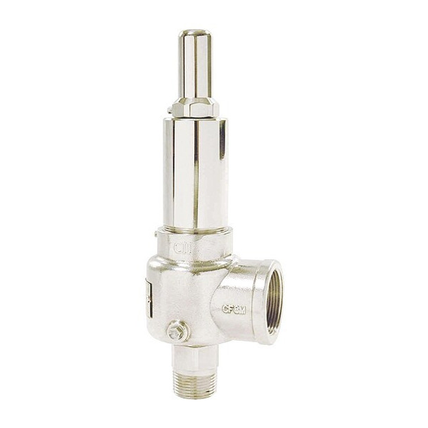 Apollo Valves POP Safety Valve,3/4 x 1 In,100psi,SS 541DDBKMAA0100