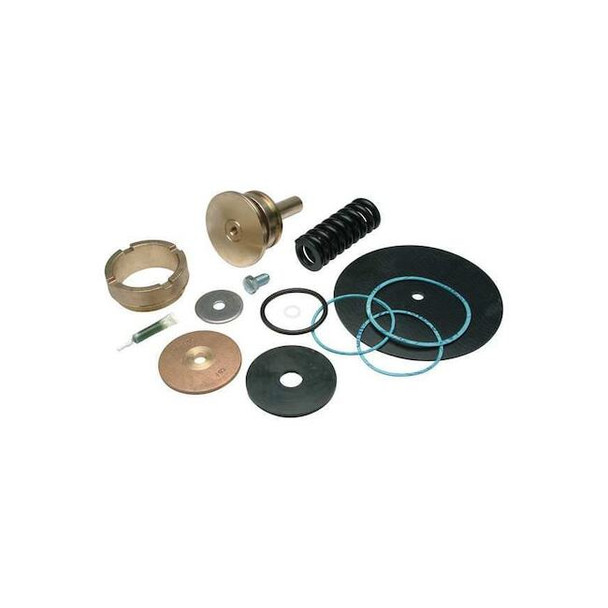 Wilkins Repair Kit,Reduce Valve,2 In RK2-500XL