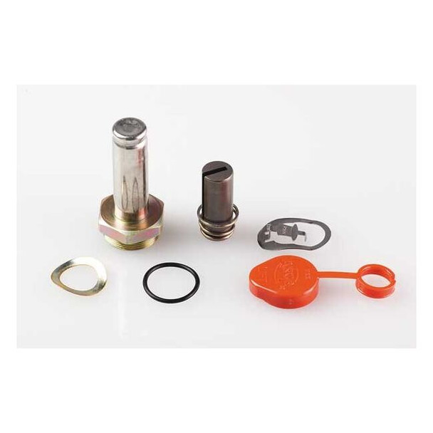 Asco Valve Rebuild Kit,For 3UL49 302020