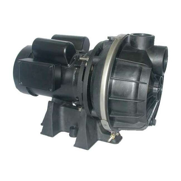 Dayton Sprinkler Pump, 3/4 hp, 120/208 to 240V AC, 1 Phase 5RWP3