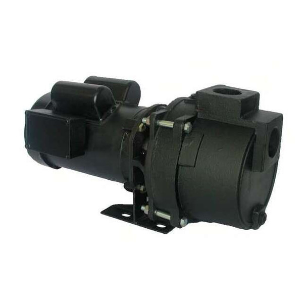 Dayton Pump,1/2 HP,1Ph,120/208 to 240VAC 5RWH6