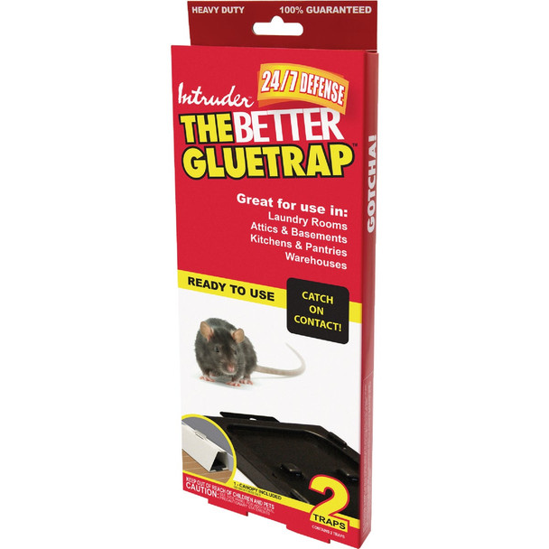 Intruder The Better GlueTrap with Canopy (2-Pack) 17510