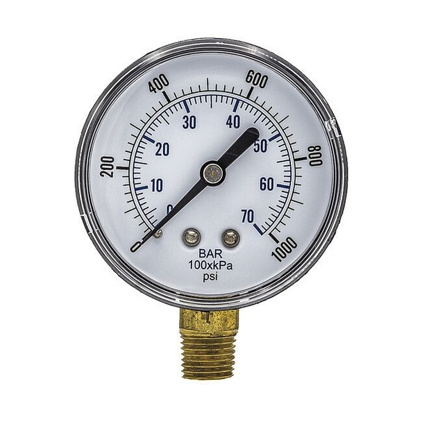 Pic Gauges SEP-101D-254M-BSPT