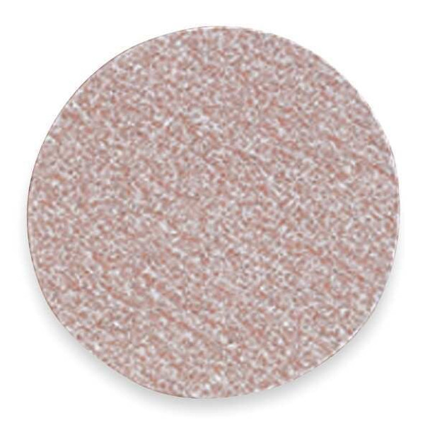 Norton Abrasives Hook-and-Loop Sand Disc,6 in Dia,PK100 66261131562