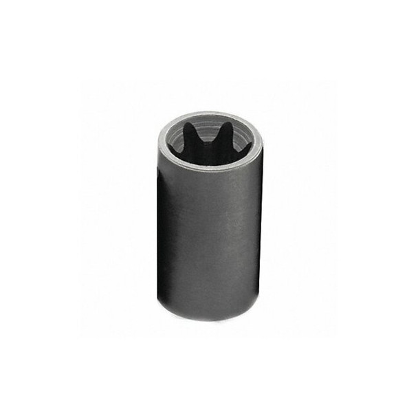 3/8 in Drive, E16 Female Torx(R) SAE Socket, 6 Points