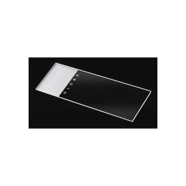 Globe Scientific Microscope Slide, Frosted, 1.1mm, PK144 1308