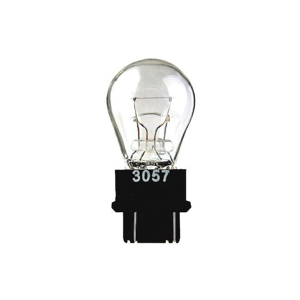 8W, S8 Miniature Incandescent Bulb (Formerly LumaPro), PK2