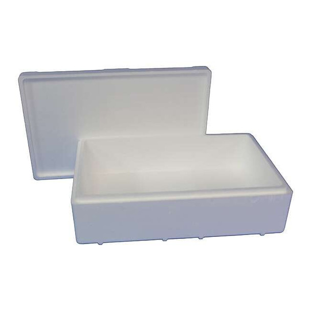 Insulated Overnight Shipping Foam & Carton, 1-2 Day, PK2
