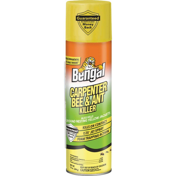 Bengal 16 Oz. Aerosol Spray Carpenter Bee & Ant Killer 97199
