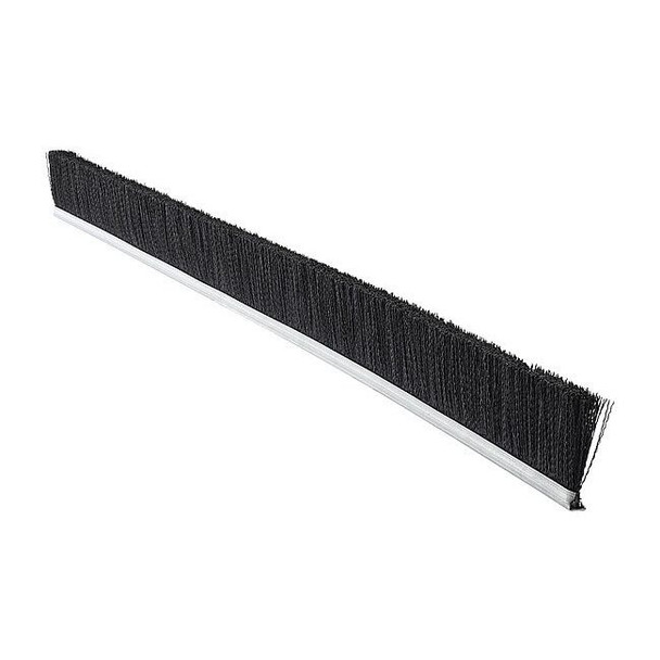 Tanis Strip Brush,36 In L,Overall Trim 4 In MB703236