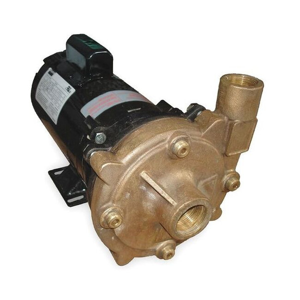 Dayton Bronze 1/2 HP Centrifugal Pump 115/230V 2ZWZ6