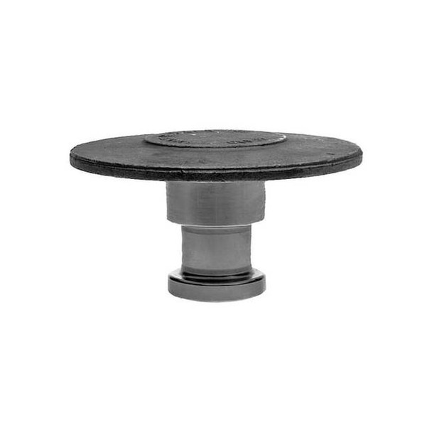 Buyers Products Trailer King Pin,2 In x 19/50 In KP20038
