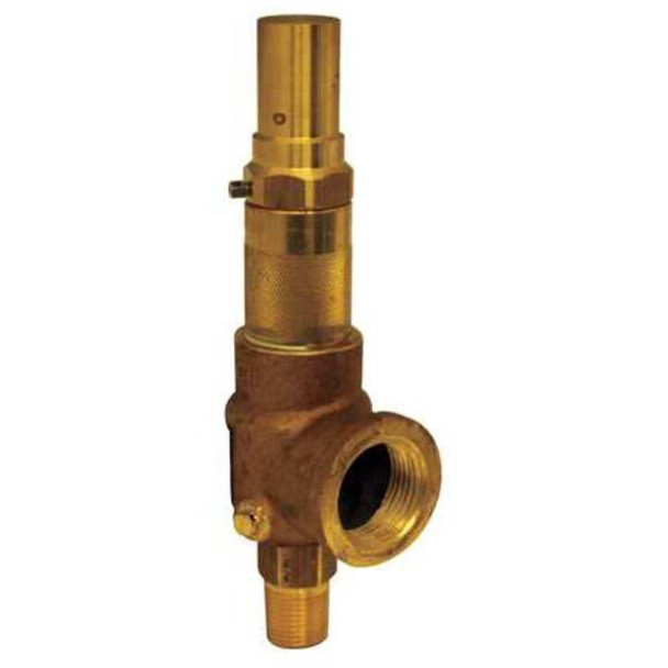 Apollo Valves Adjustable Relief Valve,1/2 In,250 psi 1650160