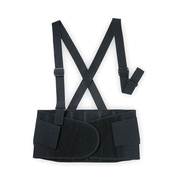 Condor Back Support,With Suspender,M 3RUZ5