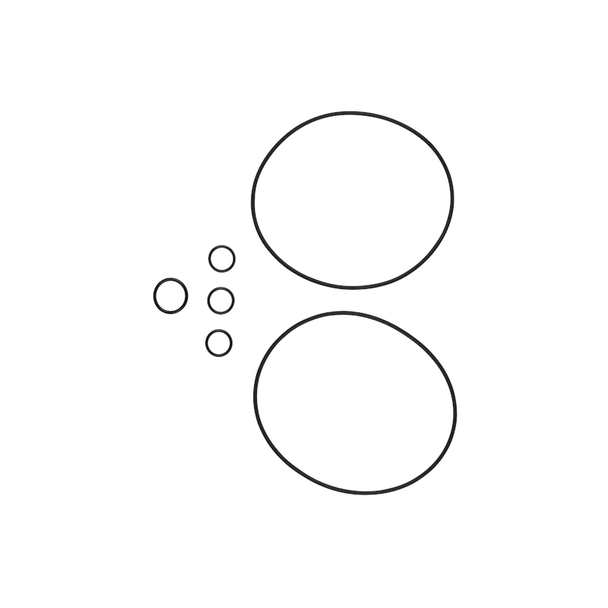 Grundfos Pumps Pump Gasket Kit 96455090