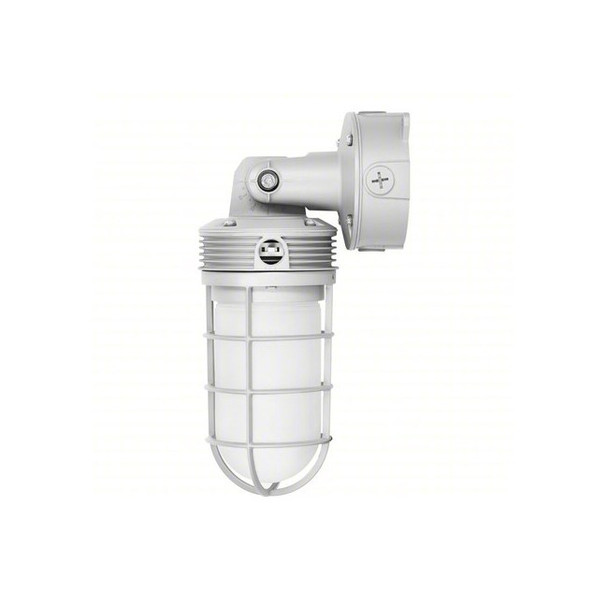 Wall Packs,LED,Pendant; Surface Mount