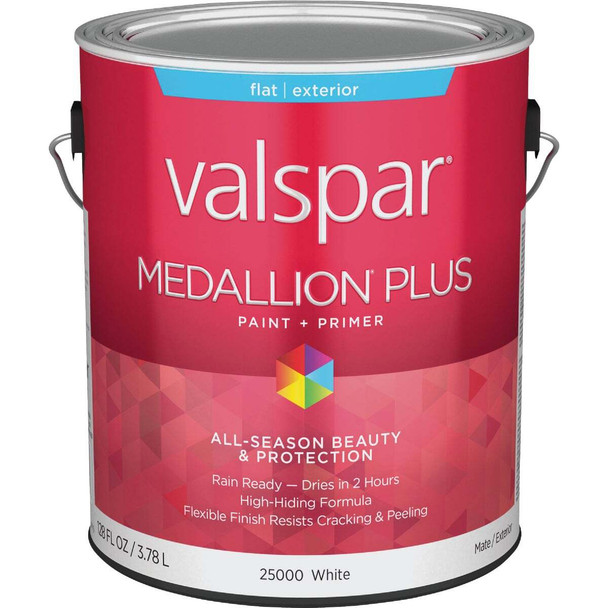 Medallion Plus Ext Flat White Bs Paint 028.0025000.007