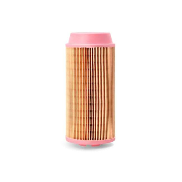 Fleetguard Automotive Air Filter,Round,4 13/16 in L AF26387